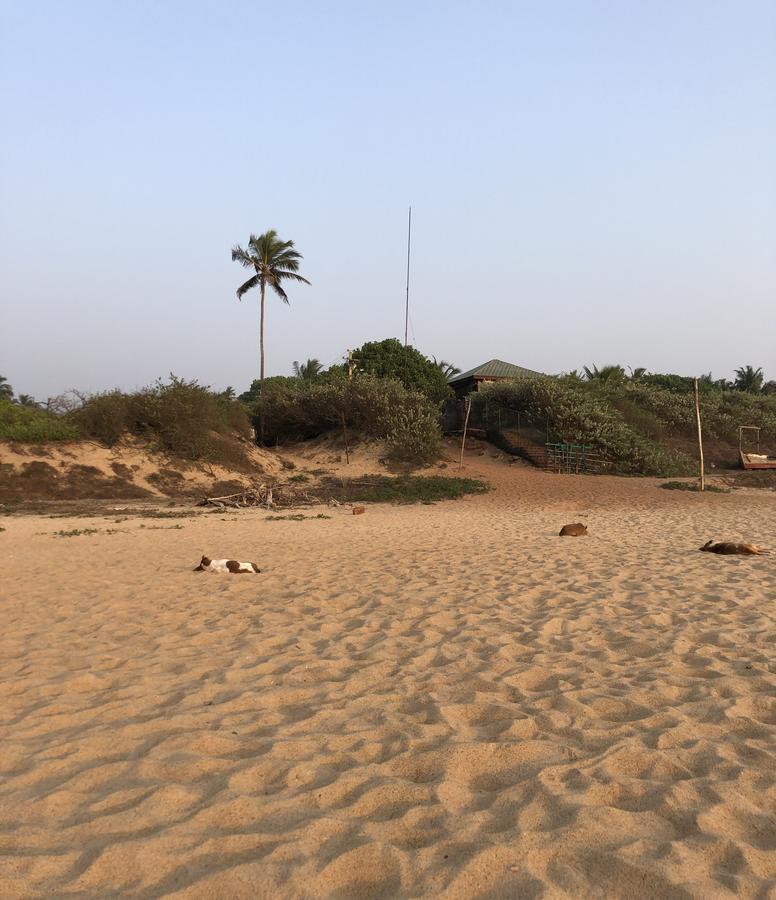 Peravel Beach Holiday Home Candolim Ngoại thất bức ảnh